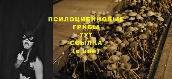 спайс Слюдянка