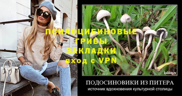 мет Снежинск