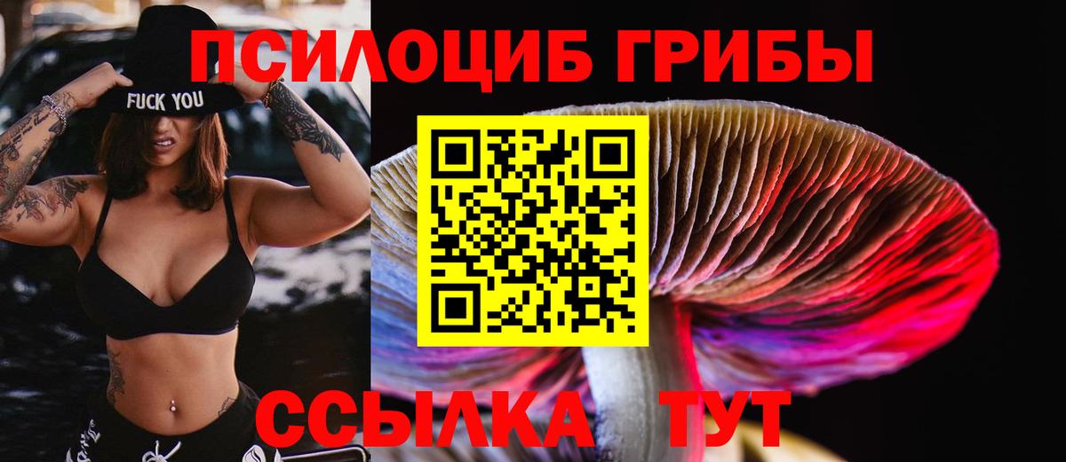 Новый Уренгой  Псилоцибиновые грибы мухоморы  купить закладку  Галлюциногенные грибы GOLDEN TEACHER  Вход с VPN 
